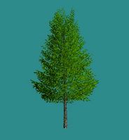 Lowpoly 3Dmodel tree VR AR game 3LOD number1