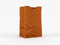 Paper Bag