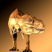 Tyrannosaurus Rex 3D Model