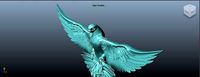 dove for decoration