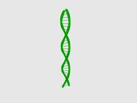 Deoxyribonucleic acid
