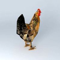 chicken