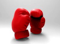 Box Gloves