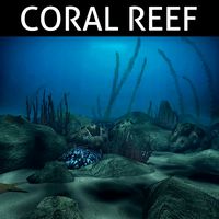 Coral reef low poly
