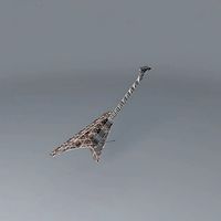 Jackson randy rhoads snakeskin guitar
