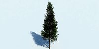 Lowpoly 3Dmodel tree VR AR game 3LOD number2