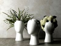 Wig Vases with Plants