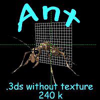 Ant 3D model