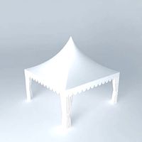 Carnival Tent 5 on 5 m