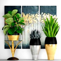 collection luxury plants