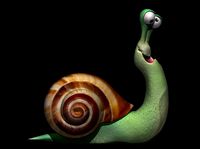 Caracol Loco