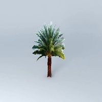 Sylvester Date Palm Tree