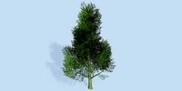 Lowpoly 3Dmodel tree VR AR game 3LOD number9