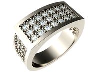 Ring 0084 | 3D