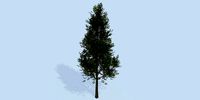 Lowpoly 3Dmodel tree VR AR game 3LOD number53