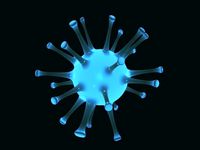 Microbe