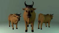 Ox Model