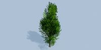 Lowpoly 3Dmodel tree VR AR game 3LOD number3