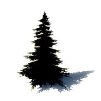 FREE Pine Trees Sample Model