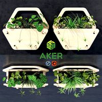 Hexagon wall planter