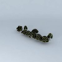 Trees street sao paulo