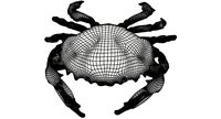 Base crab