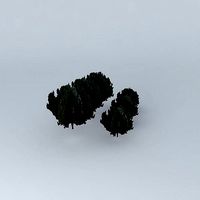 models trees