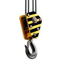 Crane Hook