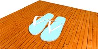 Flip Flop