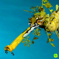Leafy sea dragon