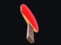 Pingpong paddle