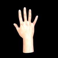 Man Hand
