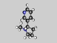 Nicotine molecule