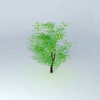 Tree corporate university