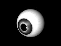 Grey eyes