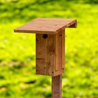 Birdhouse for Bluebirds