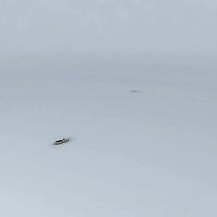 Ships