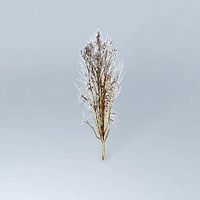 Dead tree