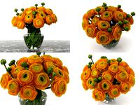 Orange Ranunculus