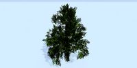 Lowpoly 3Dmodel tree VR AR game 3LOD number55