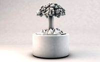 Low poly Ceiba and island