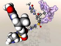 Viagra molecule