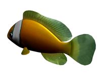 Kumanomi fish 3D Model