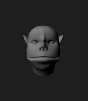 Human Head