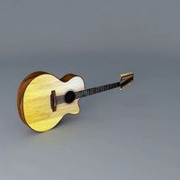 18 string acoustic guitar