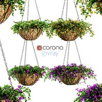Flowers in a flower pot on a chain - Petunia - 4 models