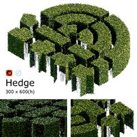 Hedge 300x600
