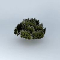 Tree of London model