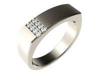 Ring 0086 | 3D