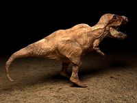 DINOSAUR